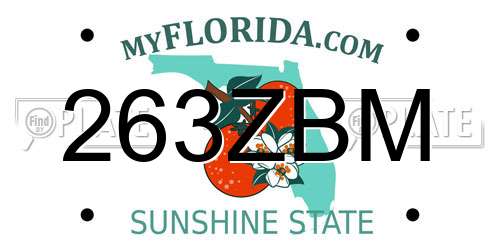 263ZBM Florida License Plate