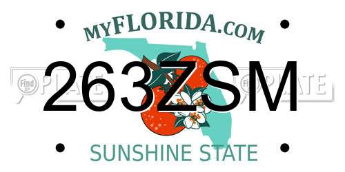 263ZSM Florida License Plate