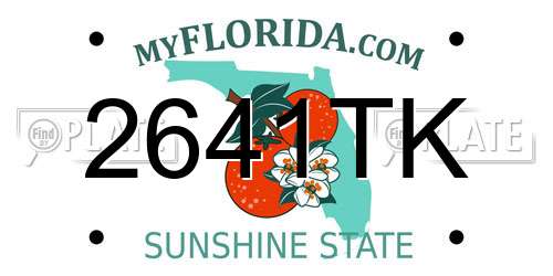 2641TK Florida License Plate