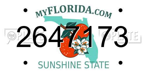 2647173 Florida License Plate