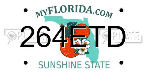 264ETD Florida License Plate