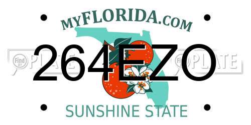 264EZO Florida License Plate