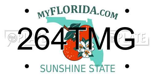 264TMG Florida License Plate