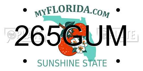265GUM Florida License Plate