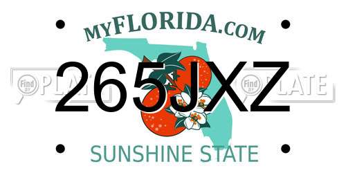 265JXZ Florida License Plate
