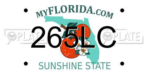265LC Florida License Plate