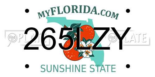 265LZY Florida License Plate