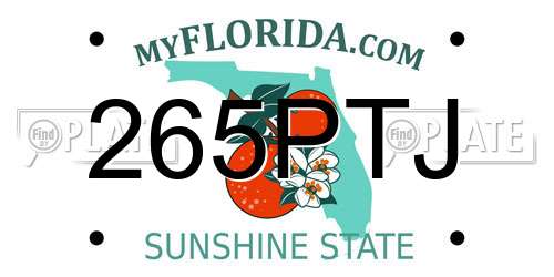 265PTJ Florida License Plate