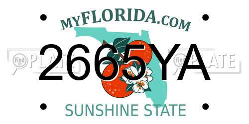 2665YA Florida License Plate