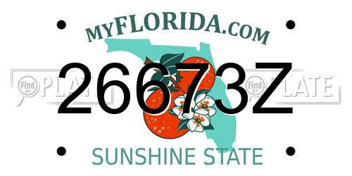 26673Z Florida License Plate