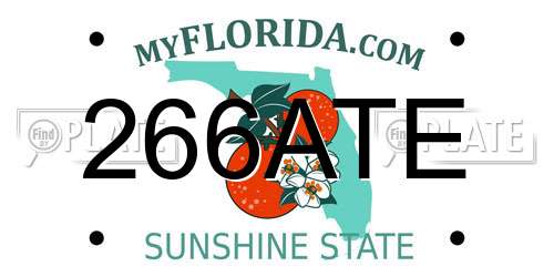 266ATE Florida License Plate