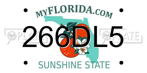 266DL5 Florida License Plate