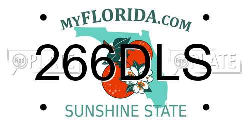 266DLS Florida License Plate