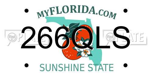 266QLS Florida License Plate