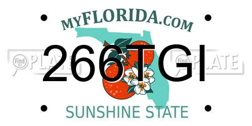 266TGI Florida License Plate