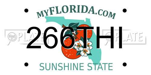 266THI Florida License Plate