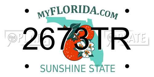 2673TR Florida License Plate