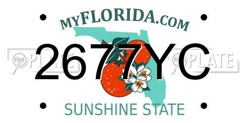 2677YC Florida License Plate