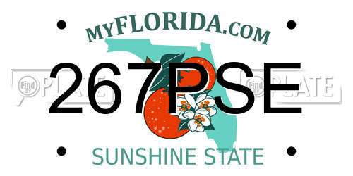267PSE Florida License Plate