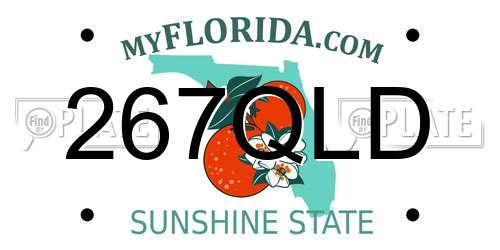 267QLD Florida License Plate