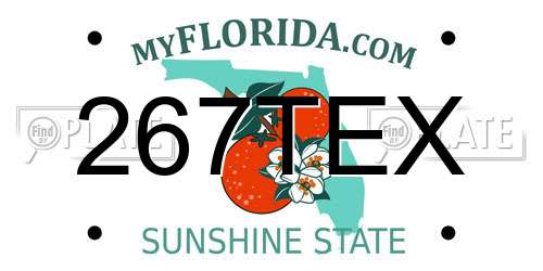 267TEX Florida License Plate