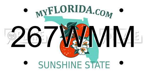 267WMM Florida License Plate