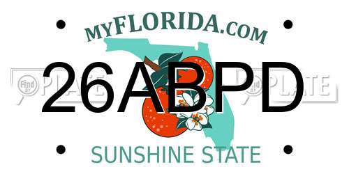 26ABPD Florida License Plate