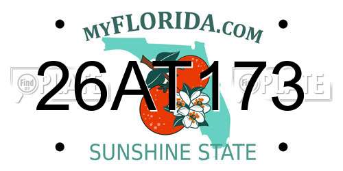 26AT173 Florida License Plate