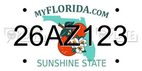 26AZ123 Florida License Plate