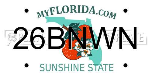 26BNWN Florida License Plate