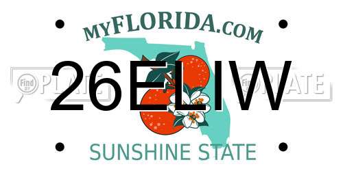 26ELIW Florida License Plate