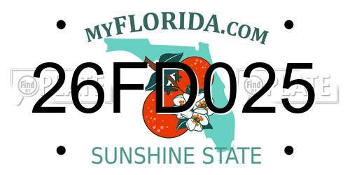 26FD025 Florida License Plate