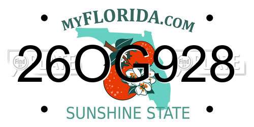 26OG928 Florida License Plate