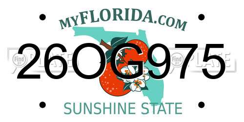 26OG975 Florida License Plate