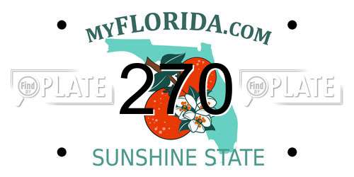 270 Florida License Plate