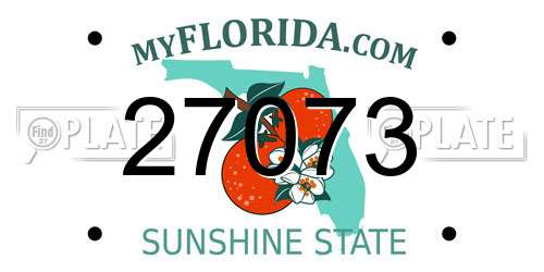 27073 Florida License Plate
