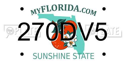 270DV5 Florida License Plate
