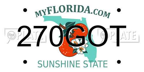 270GOT Florida License Plate