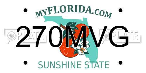 270MVG Florida License Plate