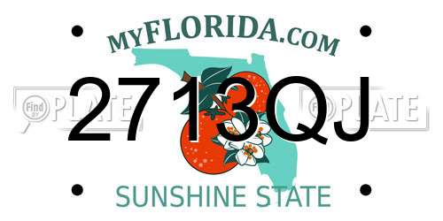 2713QJ Florida License Plate