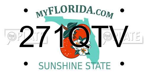271QTV Florida License Plate