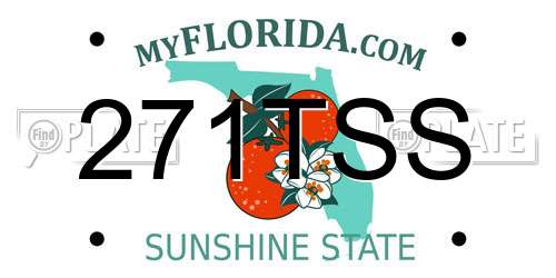 271TSS Florida License Plate