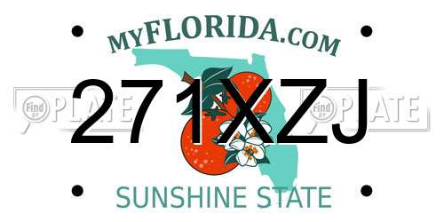 271XZJ Florida License Plate