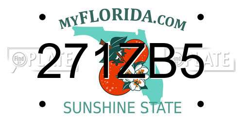 271ZB5 Florida License Plate