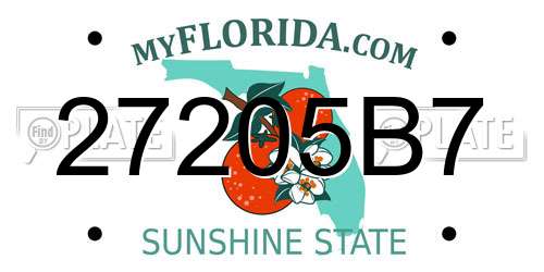 27205B7 Florida License Plate