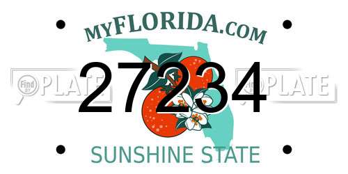 27234 Florida License Plate