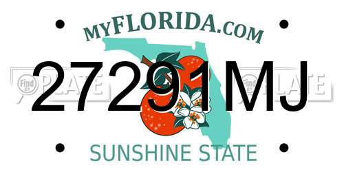 27291MJ Florida License Plate