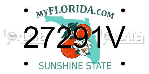 27291V Florida License Plate