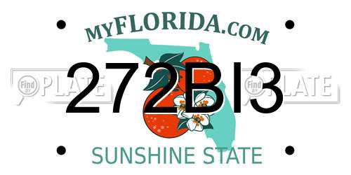272BI3 Florida License Plate