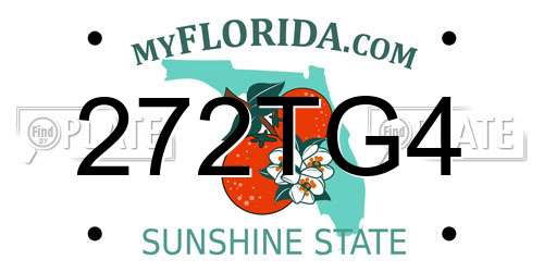 272TG4 Florida License Plate